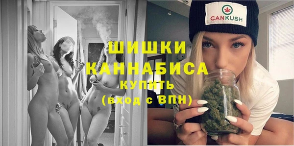 индика Нефтегорск
