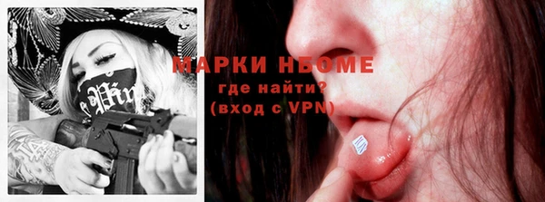 индика Нефтегорск