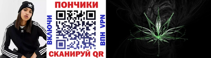 Шишки марихуана ГИДРОПОН  Купить где  Новозыбков 